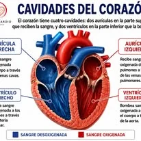 Síndrome de Brugada