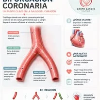 Cavidades del corazón
